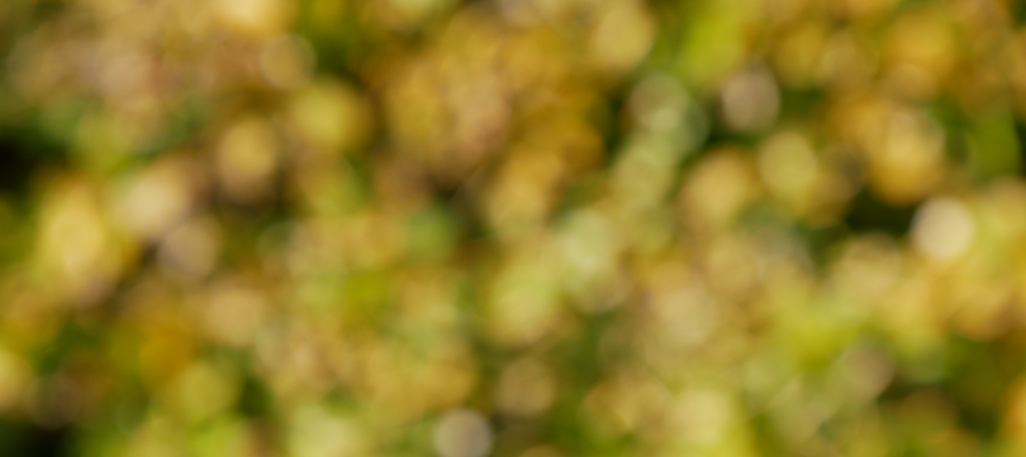 image from Eine Neue Website!